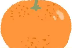 11月9日起，去公园买本地橘子啰！沪郊柑橘进9座公园推介，还可以去橘园采摘游图片