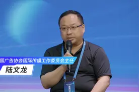 陆文龙：想成为世界级品牌，需精准制定传播策略图片
