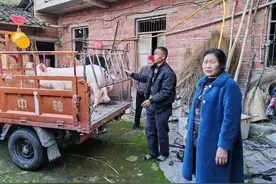 比被盗前还胖了100斤！村民家两头“二师兄”被偷，3个月后被民警找回来了图片