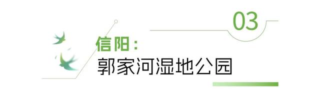 河南“天然空调房”地图上线！快来场“森呼吸”