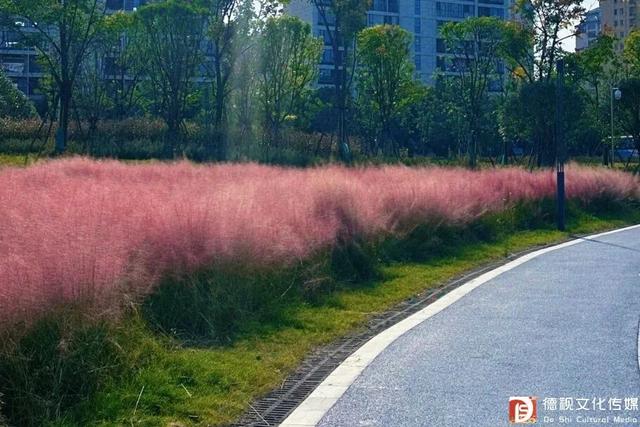 在上饶德兴享受独处的快乐，5个静谧空间超适合i人！