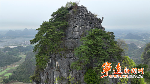 宁远：石楼峰上石枞秀 千年苍劲映九嶷