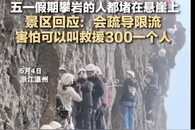 吓人！游客被挂半山腰1个小时？景区回应图片