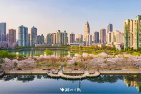 2025武汉马拉松鸣枪开跑图片