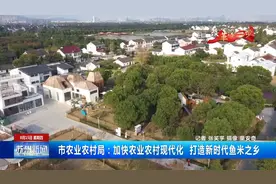 苏州市农业农村局：加快农业农村现代化 打造新时代鱼米之乡图片