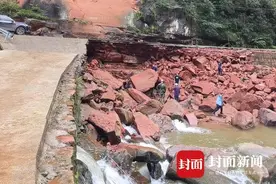 四川一男孩河床边玩耍发现恐龙脚印，专家证实：是真的！图片