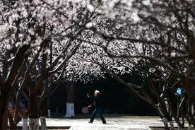 中华遗嘱库发布白皮书：空巢孤寡老人财产多留给非法定继承人图片