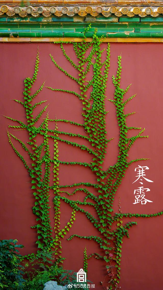 转存收藏！故宫节气图张张都是壁纸 第5张