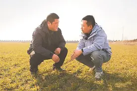 浇地“上云” 正定高标准农田新技术+1图片