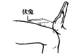 按揉一个穴，通治腰椎间盘突出、腰痛腿疼、腰肌劳损！图片
