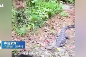 男子跳进鳄鱼池帮捡手机险遭攻击，动物园：系工作人员图片