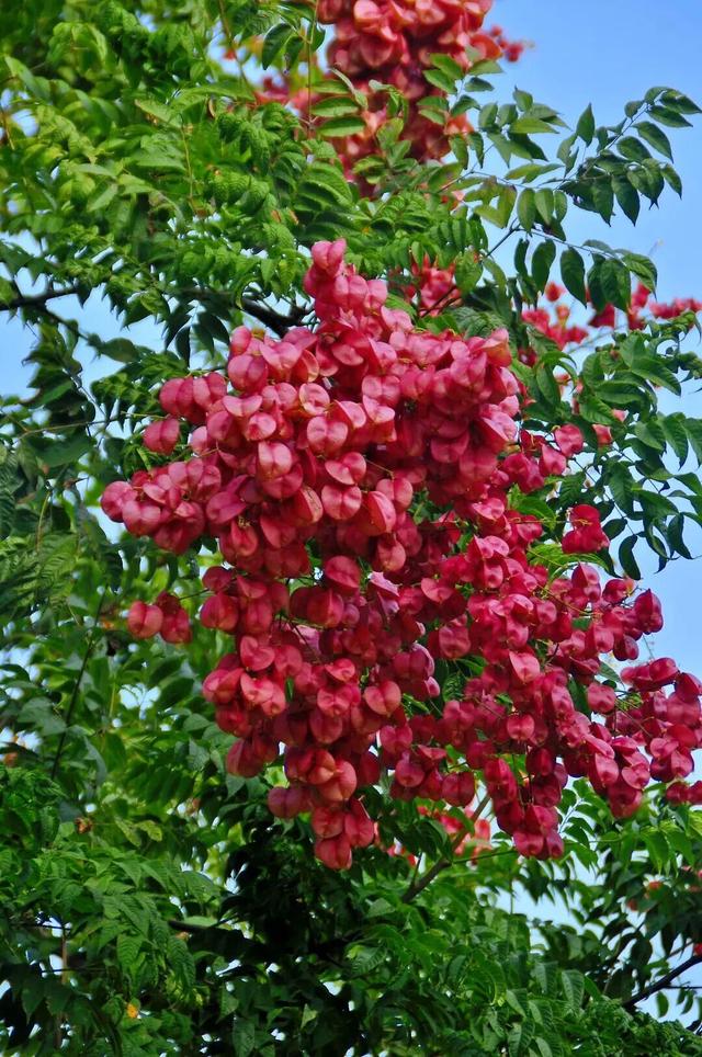 四季流转，青浦这座公园的颜值从来不掉线！