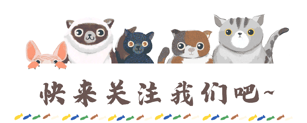 碑林文旅服务升级！“轻松行”二期上线，星级酒店全覆盖，行李无忧畅游更自在