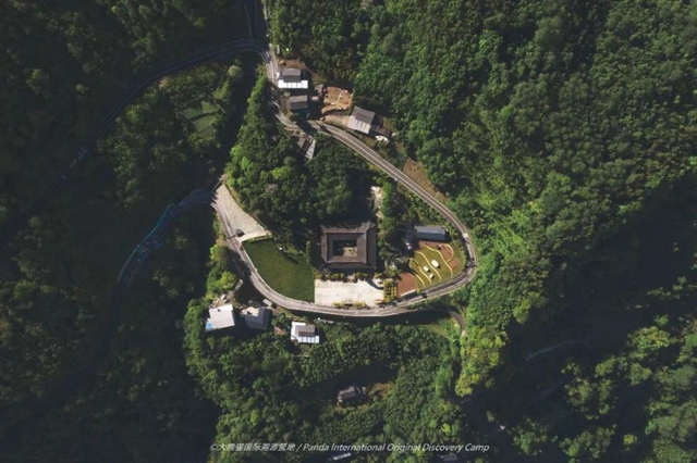 跟着熊猫去狂欢！雅安金秋消费季，千万消费好礼已备齐~