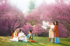 “襄城无处不飞花”春季文化旅游季启动图片