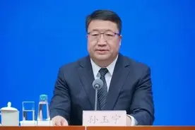 打虎！海关总署副署长孙玉宁任上被查图片
