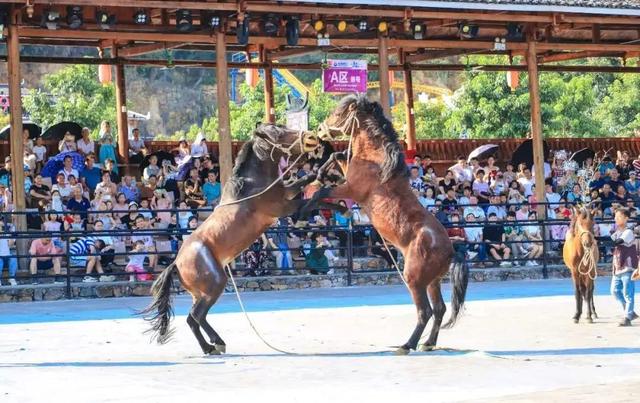 周六到融水看“县超”，再跟着这些路线逛吃逛吃旅旅游