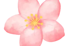 【我为妇女群众办实事】柳城县妇联开展2024年“粉红馨爱·重塑美丽”公益项目义乳发放活动图片