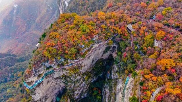 最佳观赏期即将结束！河南这些美景错过要再等一年