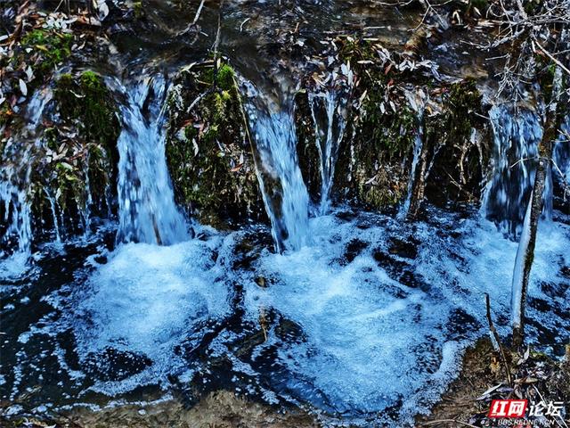 九寨沟的冬日浪漫：雪吻海子，阳光作画，太治愈了