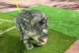 常州0:4输给南京，助战“小恐龙”疑被气晕抬走，恐龙园回应图片