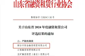 喜报！烟台财金集团旗下融资租赁公司荣获山东省“产融先锋奖”图片