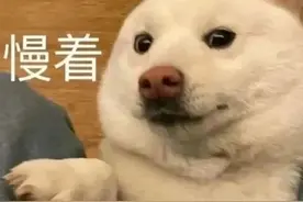 【大湖天平讲堂】真手表、假包装、假保卡，当二手转卖遇上“半真半假”……图片