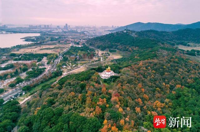【图集】大美江苏！穿越森林秘境，漫步郊野公园，沉浸式感受"绿色动脉"