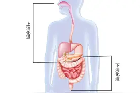“黑便”出现后如何饮食？消化道重症患者的护理建议图片