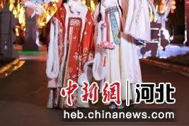 河北辛集：穿汉服 赏花灯 漫游新春灯会图片