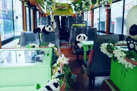 重庆首条熊猫巴士！带你解锁九龙坡新玩法图片