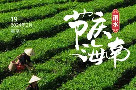 春天里的第一杯茶，产自海南！图片
