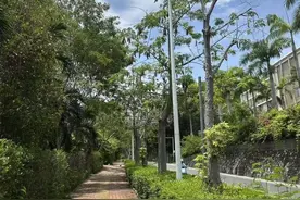 女子被不明物咬伤身亡，事发地社区：当地常有蛇出没，晚上尽量不去草丛或人少地方图片