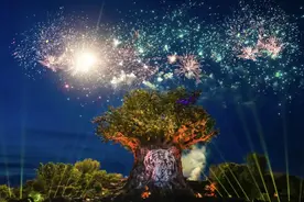 星空露营、夜探“猛兽”、飞越云端……今年“五一”，郑州银基更潮趣图片