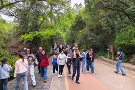春游记丨贵阳：清明游园踏青  乐享春光图片