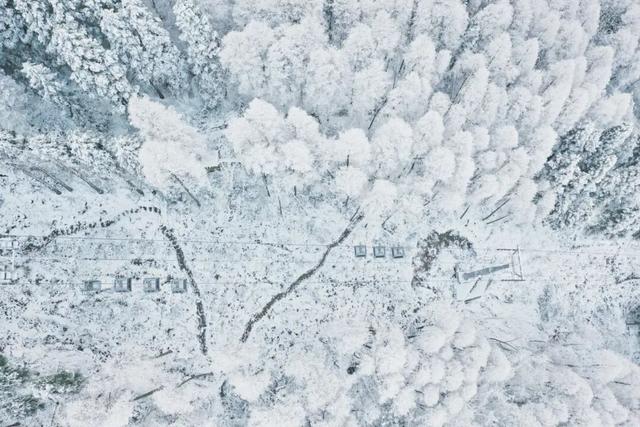 【超级福利】1小时直达成都“小瑞士”！冰雪徒步/雪地魔毯/音乐会/NPC巡游……