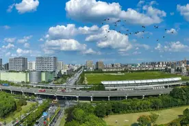 连接闵行、浦东、奉贤三区，加速推进这条道路贯通！图片