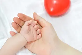 多地发布新一轮生育意愿调查报告：还有哪些痛点？现行政策奏效吗？图片