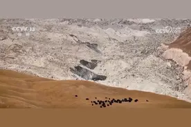 胡杨金黄灿烂、塔河碧波荡漾……看，美丽中国的高颜值“生态答卷”图片