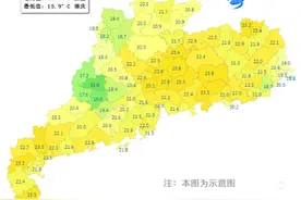 冬天，你礼貌吗？东莞天气温暖如春，下周气温还要升图片