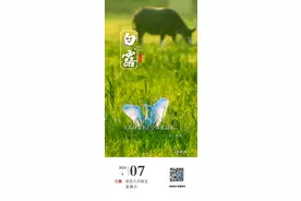 海门迎来一批天山脚下的“小客人”｜南通早七点图片