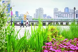 民生点滴事，都挂心头！——在上海，感受人与城的温暖瞬间图片