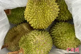 华东首批马来西亚鲜食榴莲飞抵宁波 新通道保障“鲜”入境图片