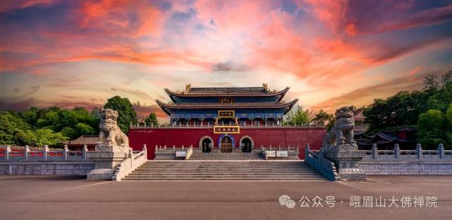 乐山这里的菊花即将迎来盛花期，足足有50多种，约吗？