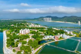 六项举措促发展 党群携手绘新篇——阳西县实施“百千万工程”亮点经验图片