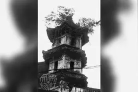 CityWalk·瑞安就要慢慢逛丨古城影像·东塔图片