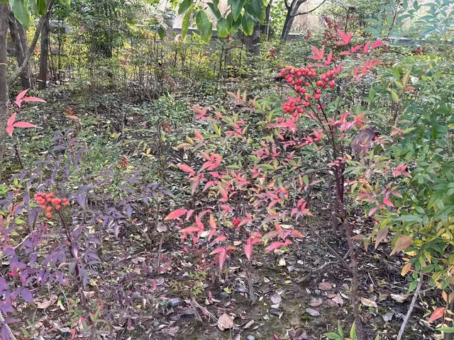 走，到郑州航空港“捡秋”去！丨港视角