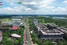 中医把脉有多神？海外传播官在博鳌乐城的一次新鲜“体检”图片