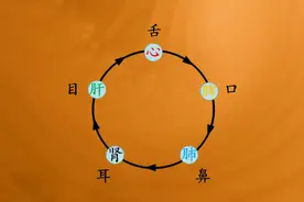 耳鸣不绝，肾精将绝，身体这一声呼救，你听得懂吗？看完就知晓了图片