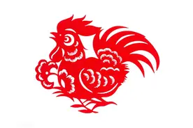 老话常说:十鸡九富，哪几个月出生的生肖鸡命好，你有在其中吗？图片